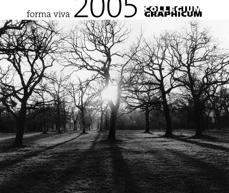 Koledar 2005